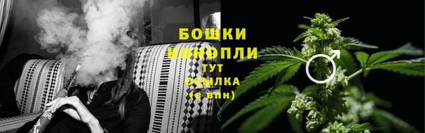 прущие грибы Балабаново