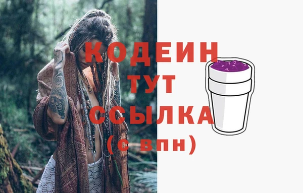 спиды Мегион
