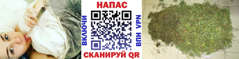 купить наркотики цена  Бокситогорск  Бошки марихуана MAZAR 